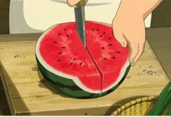 51朝阳吃瓜,揭秘娱乐圈最新吃瓜事件，带你领略明星幕后故事